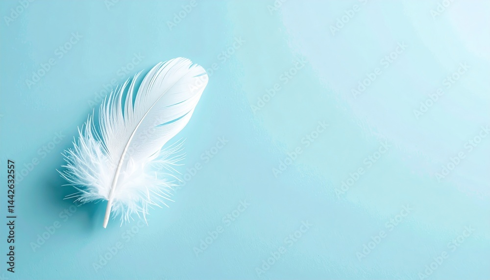 Fototapeta premium Delicate white feather on soft blue background studio shot minimalist art calm environment close-up view concept of lightness