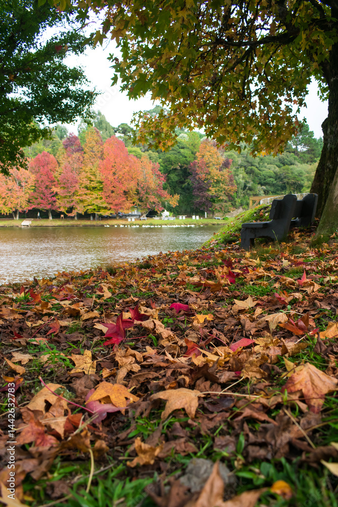 Sao Bernardo Lake in Autumn. Tourist destination in Sao Francisco de Paula, South of Brazil