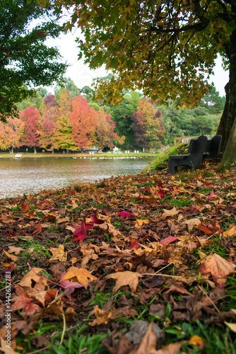 Obraz na płótnie Sao Bernardo Lake in Autumn. Tourist destination in Sao Francisco de Paula, South of Brazil w salonie