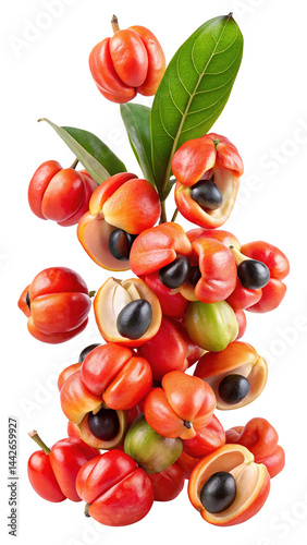 Beautiful stack of Guarana fruit isolated on a Trensprent  Background png, closeup studio shot