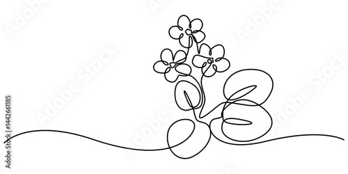 A black line art drawing of an African violet with a stylized flowering plant. An illustration of a Saintpaulia flowering plant on a white background, African violet in continuous line art drawing one