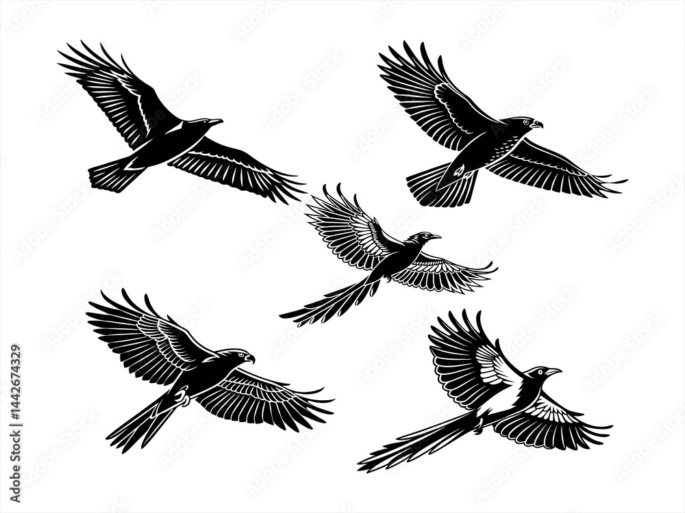 Obraz premium bustard bird sihouette black vector bundle