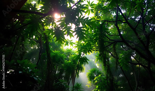 Obraz na płótnie Tropical Rainforest Canopy at Dawn w salonie