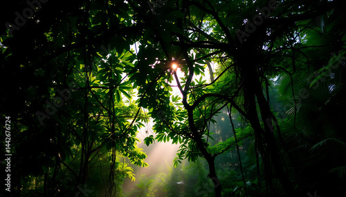 Obraz na płótnie Tropical Rainforest Canopy at Dawn w salonie