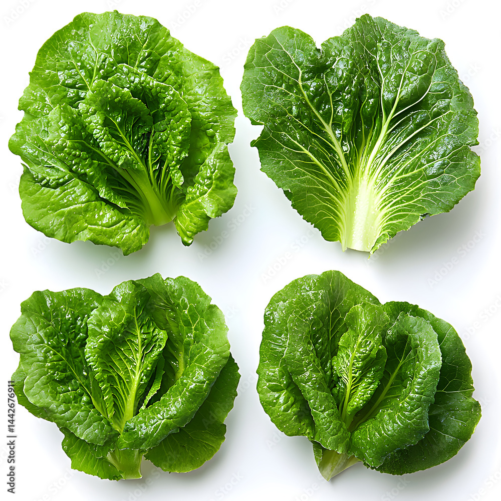 Fresh green lettuce heads forming a pattern on white background