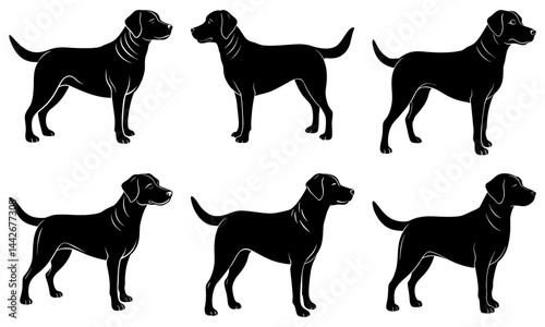 Labrador Silhouette vector