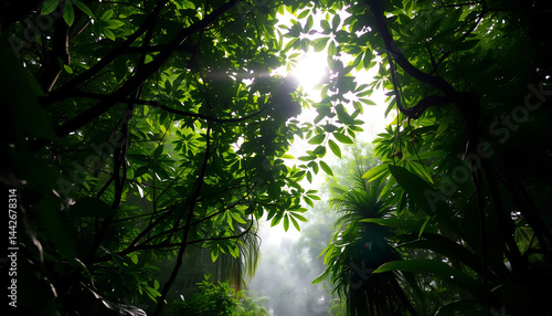 Obraz na płótnie Tropical Rainforest Canopy at Dawn w salonie