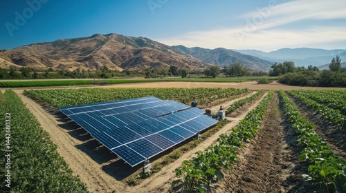 Solar panels installed in a farm field, powering sustainable agriculture