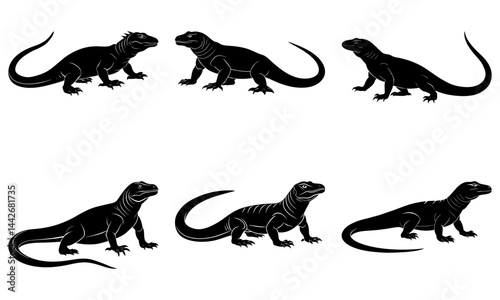 Komodo Dragon Silhouette vector