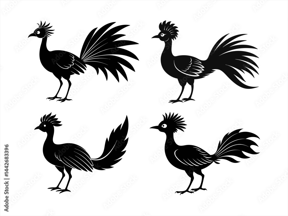 Fototapeta premium lyrebird sihouette black vector bundle