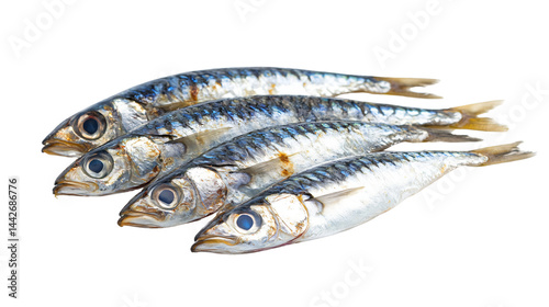 Fresh Sardines on White Background for Culinary Designs