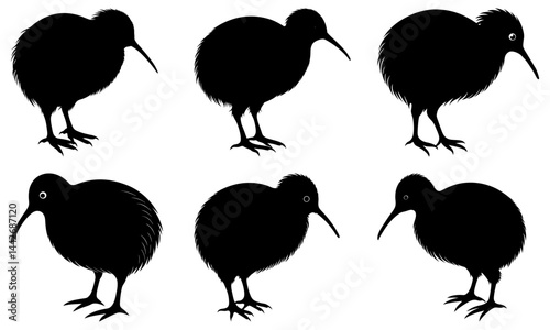 Kiwi Silhouette vector