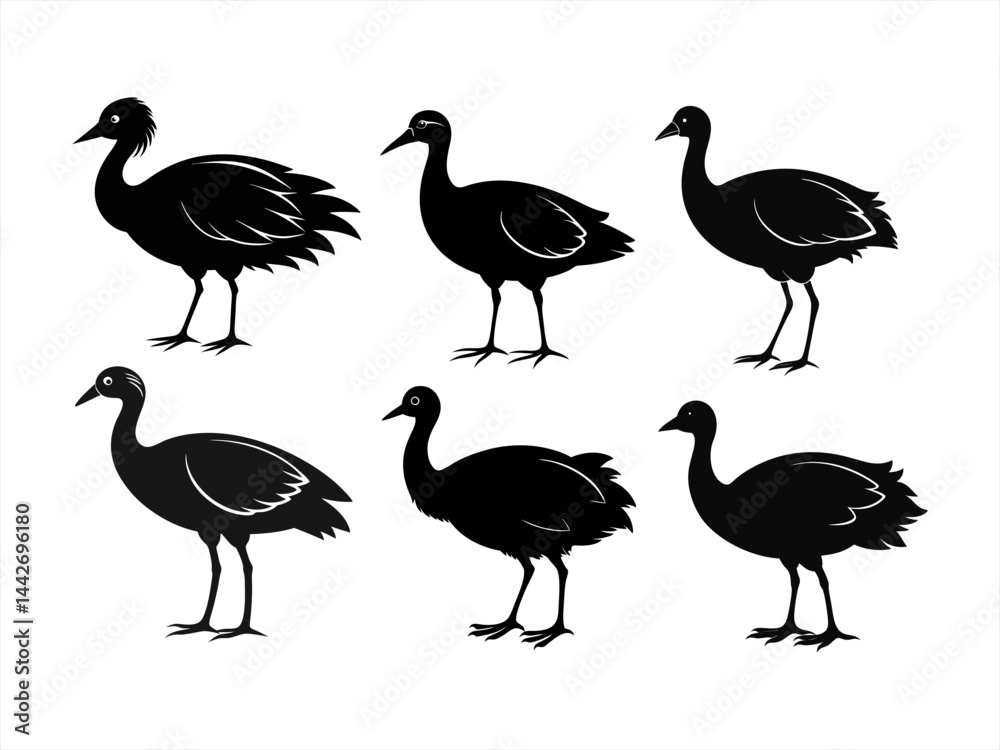 Obraz premium swamphen bird sihouette black vector bundle