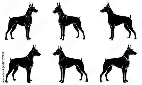 Doberman Silhouette vector