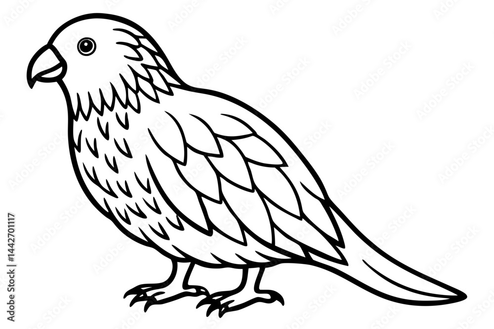Fototapeta premium Kestrel Silhouette Sketch