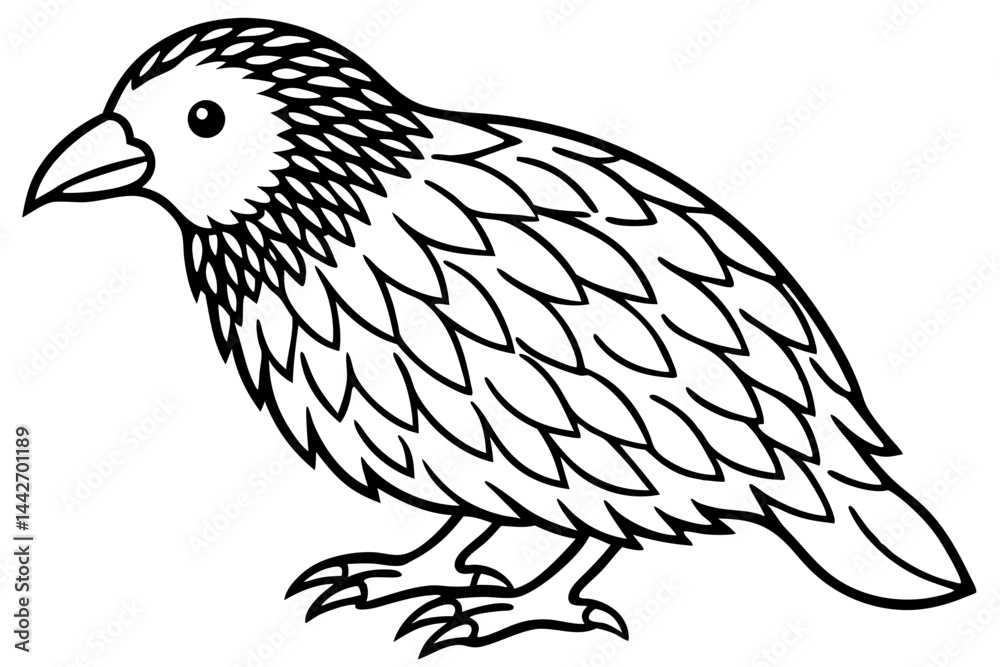 Fototapeta premium Kestrel Silhouette Sketch