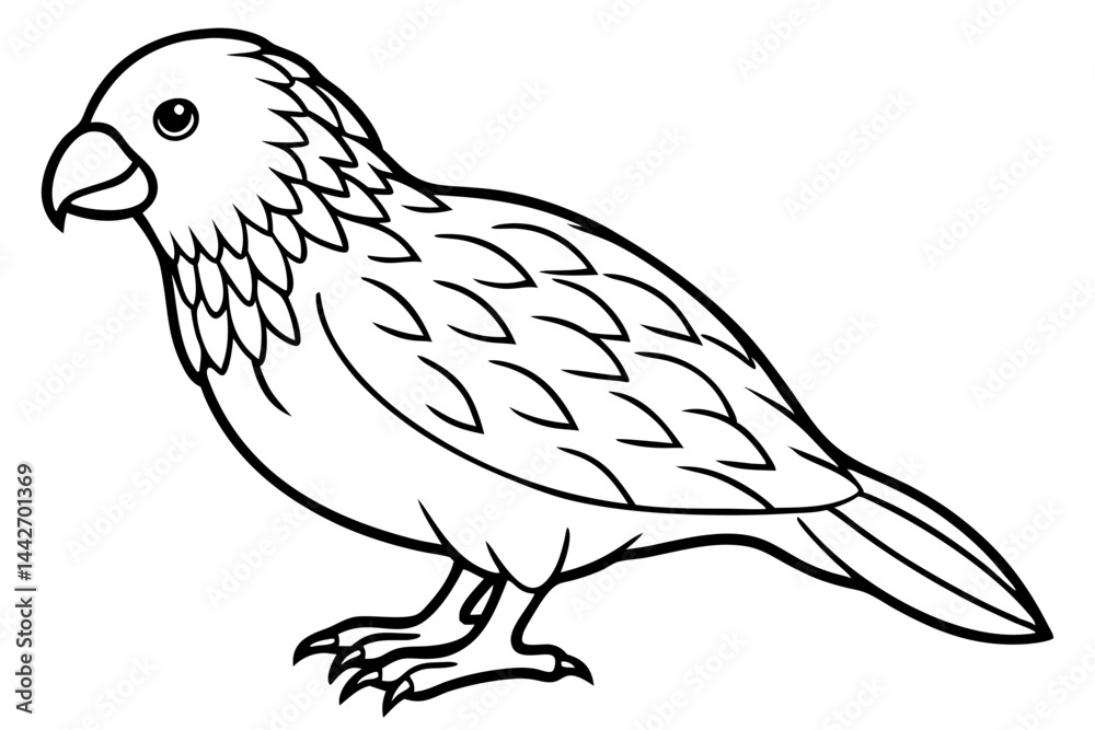 Fototapeta premium Kestrel Silhouette Sketch