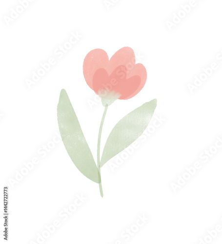 Fototapeta Naklejka Na Ścianę i Meble -  pink tulip flower watercolor