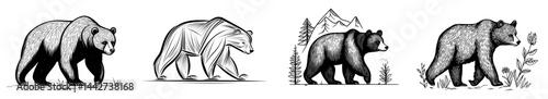A detailed silhouette illustration of a bear highlights its majestic form and natural beauty in wildlife
