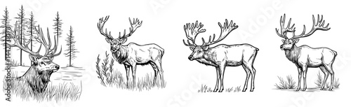 A dramatic outline of a moose highlighting its remarkable antlers, ideal for designs and artwork centered around wildlife