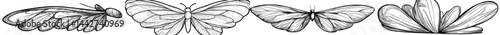 A modern illustration, characterized by simplicity, depicts a pair of light green angel wings that embody freedom, spirituality, and fantasy, inducing emotions of peace and hope