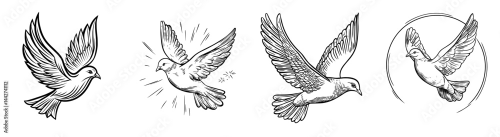 Fototapeta premium The image depicts a bird in flight, its wings fully extended, set against a white backdrop