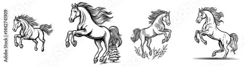 Illustration of a rearing horse in black silhouette with a flowing mane