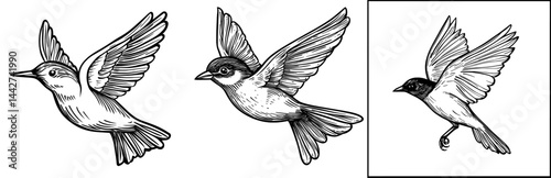 A flying bird is seen as a black shape with its wings stretched out to the sides