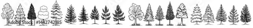 A silhouette of various evergreen trees set against a white background is ideal for nature-themed designs