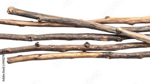 Close-up Wooden Sticks Isolated on White Background for Creative Design Projects