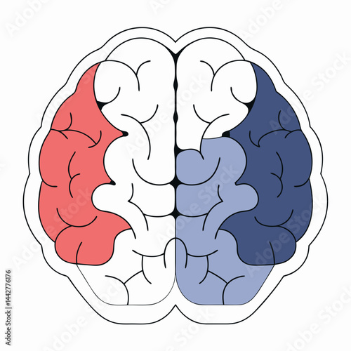 human brain vector illustration