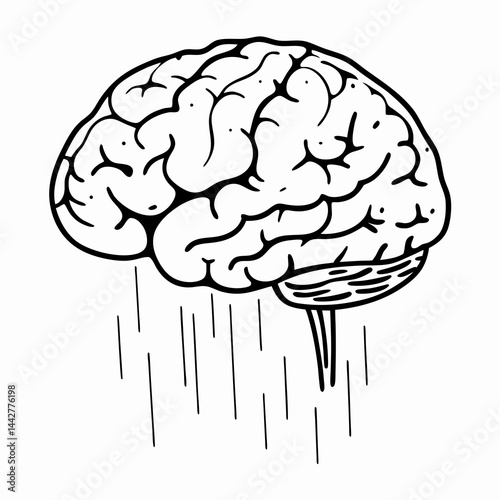 human brain vector illustration