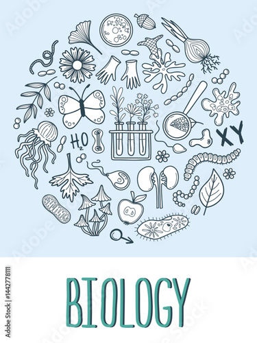 Hand drawn vector illustration
