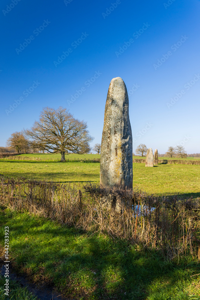 menhirs standing in Couches, Saone et Loire, Bourgogne Franche Comte, France