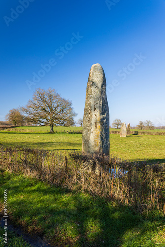 Obraz na płótnie menhirs standing in Couches, Saone et Loire, Bourgogne Franche Comte, France w salonie