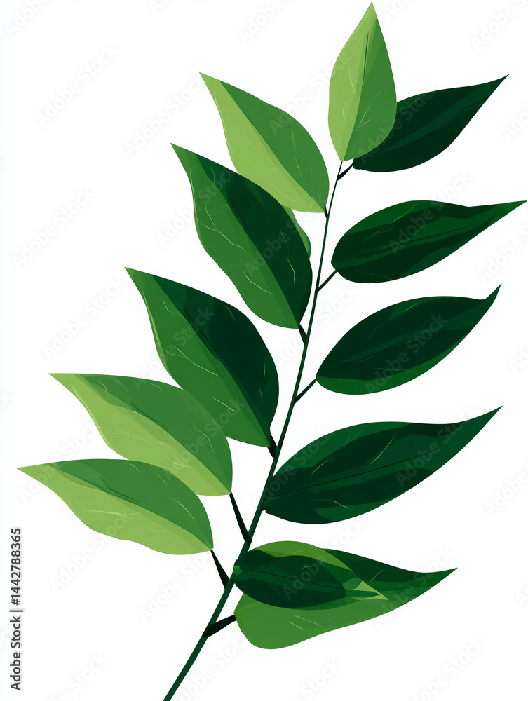 Fototapeta premium A leafy green plant with a long stem