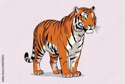 tiger vector illustration