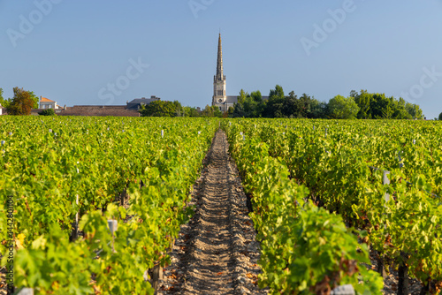Lush vineyard rows leading to Saint Julien Beychevelle church in Nouvelle Aquitaine, France