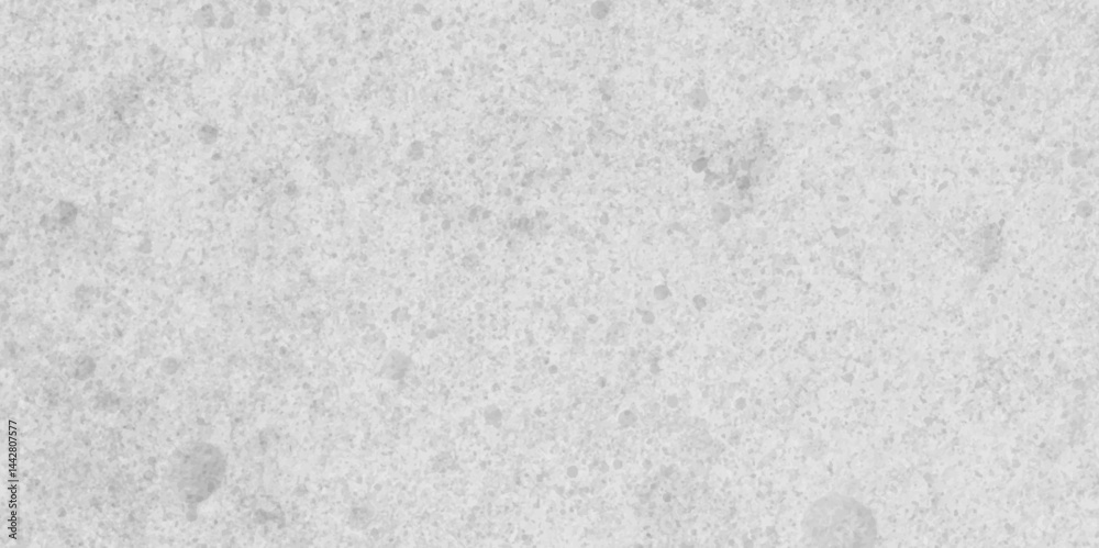 Fototapeta premium The grungy white marble limestone closeup surface interior rough concrete wall antique aged smooth plaster texture. grungy white architecture grunge smooth plaster vintage background. 