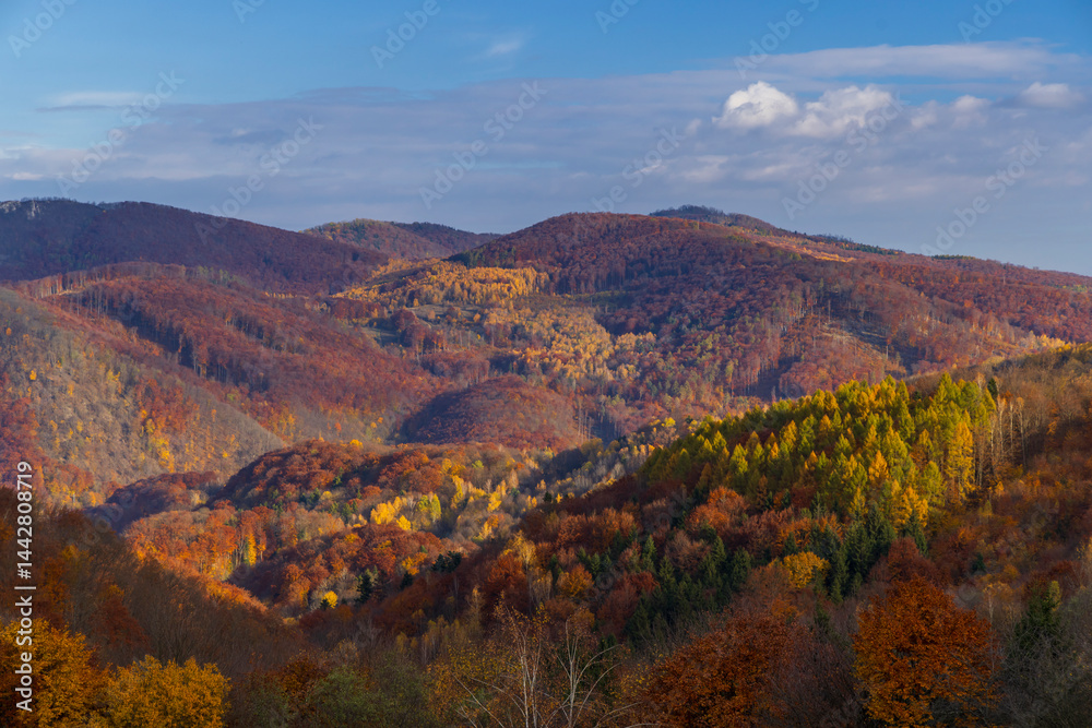 Colorful autumn forest covering rolling hills under partly cloudy sky