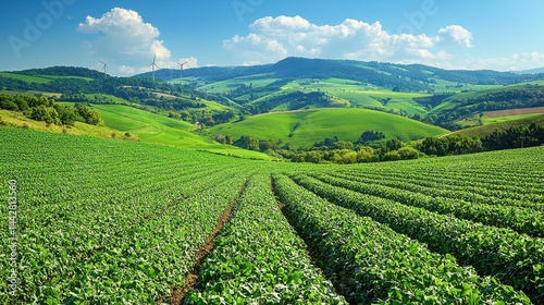 Wallpaper Mural Lush Green Agricultural Fields Under Bright Blue Sky Landscape Torontodigital.ca