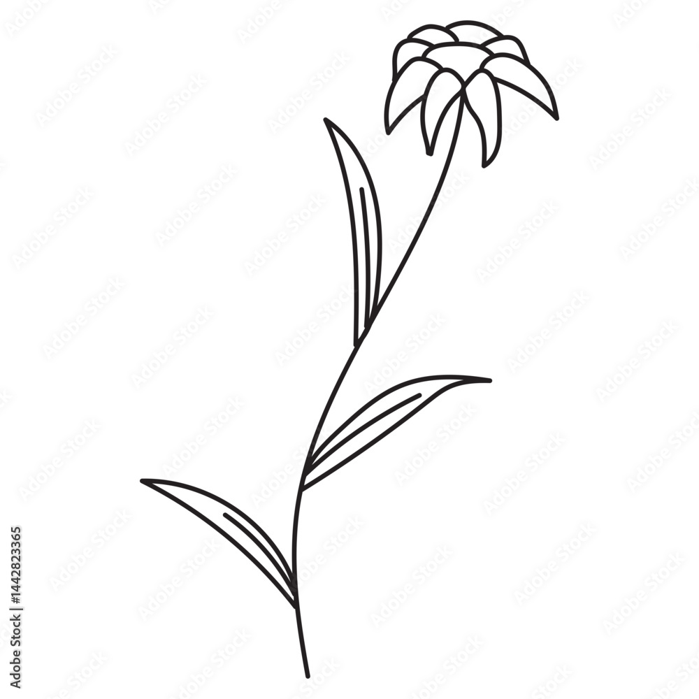 Obraz premium Hand Drawn Plants