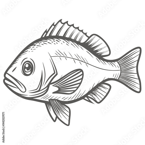 Dog Snapper Fish Line Art Illustration