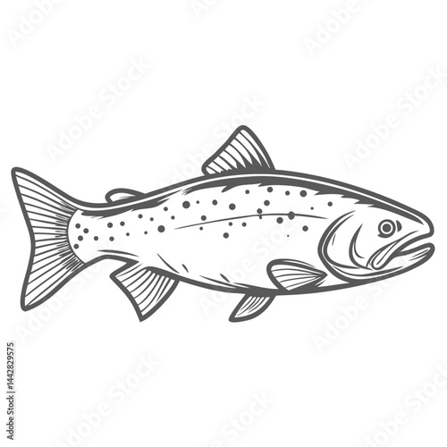 Masu Salmon Line Art Illustration