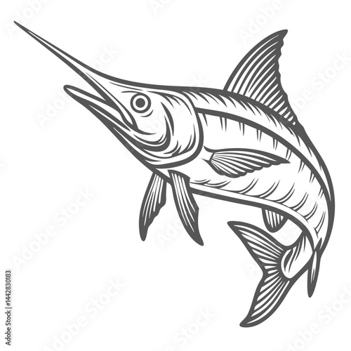 Spearfish Illustration - Longbill Marlin Outline
