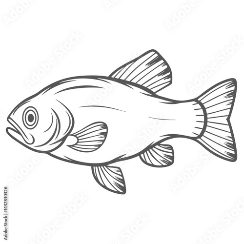 Tench Fish Line Art Illustration