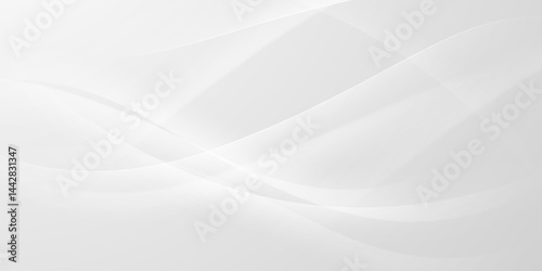 gray and white abstract background modern vector illustration