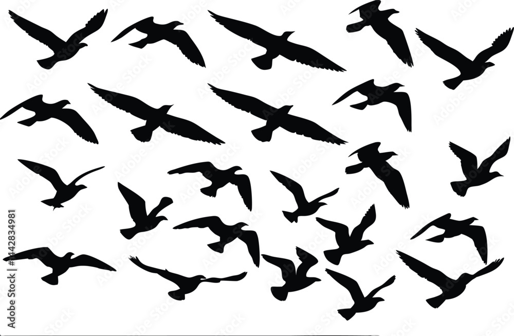 Flock of flying birds silhouette vector, Birds flock Flying in the sky black silhouette