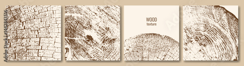 A set of posters with cross-sections of trees. Tree trunk growth rings. Vector illustration.
