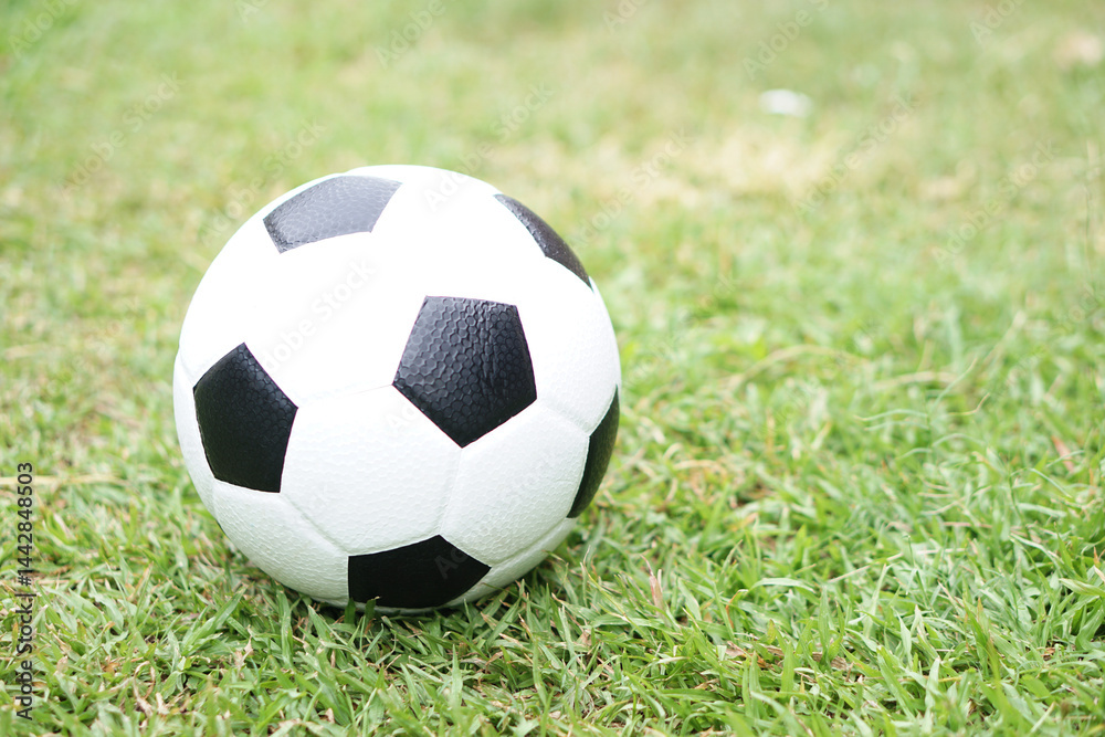 Obraz premium Football, soccer ball on green grass field background. Concept, Sport equipment. sport, workout, exercise for health. Hobby. Football match.